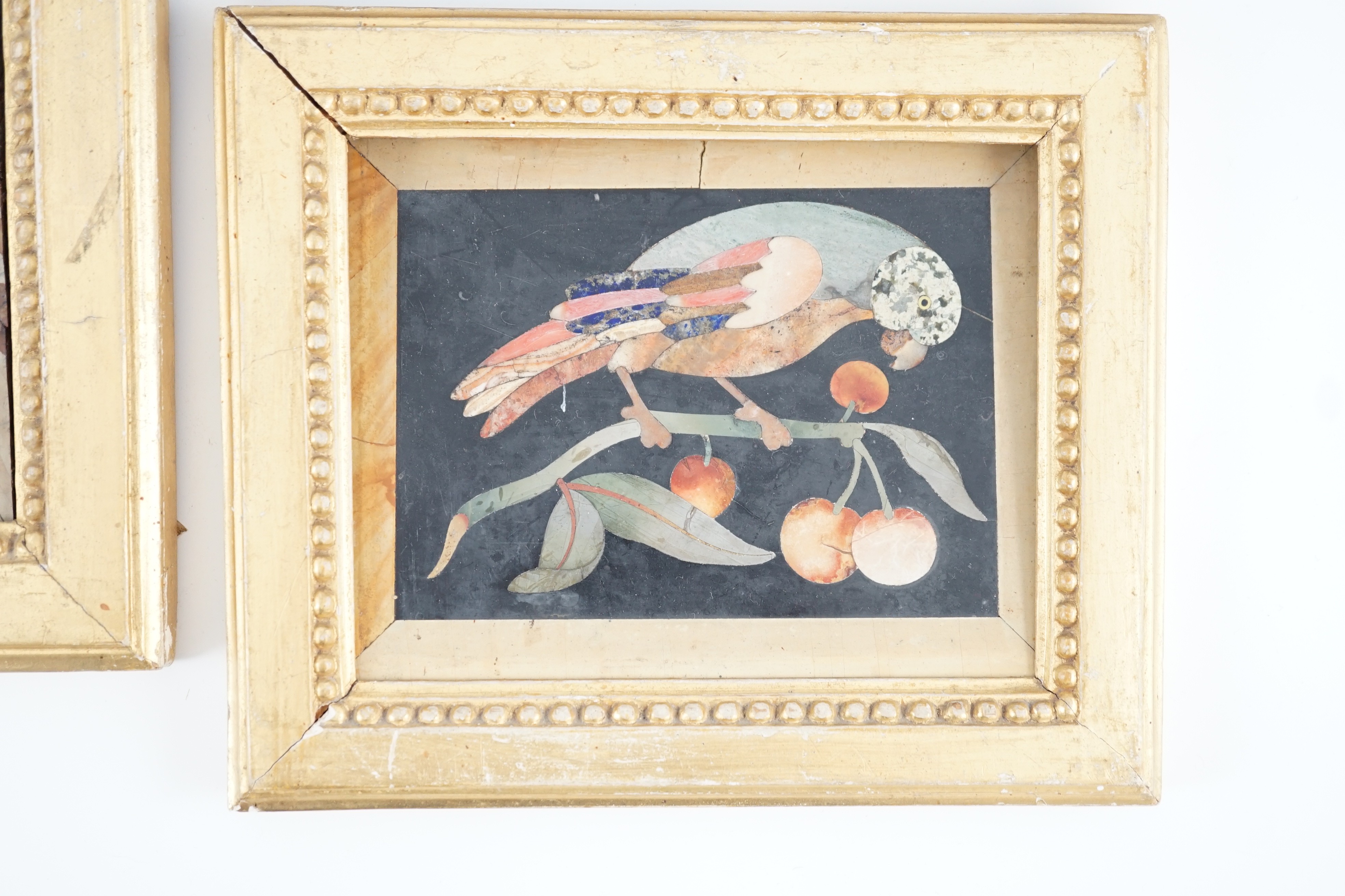 Three 17th / 18th century Italian pietra dura plaques depicting parrots on cherry branches, largest 21 x 15cm, the pair 10.5 x 13cm.